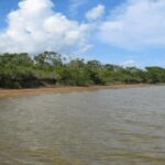 listing image thumbnail with ID 61250