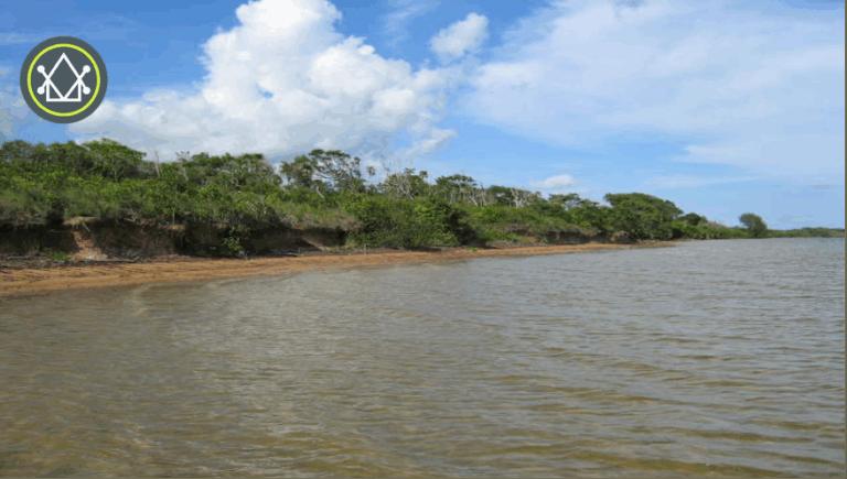 listing image with ID 61250