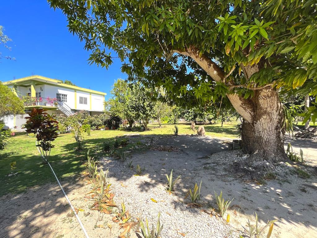 listing image with ID 61526