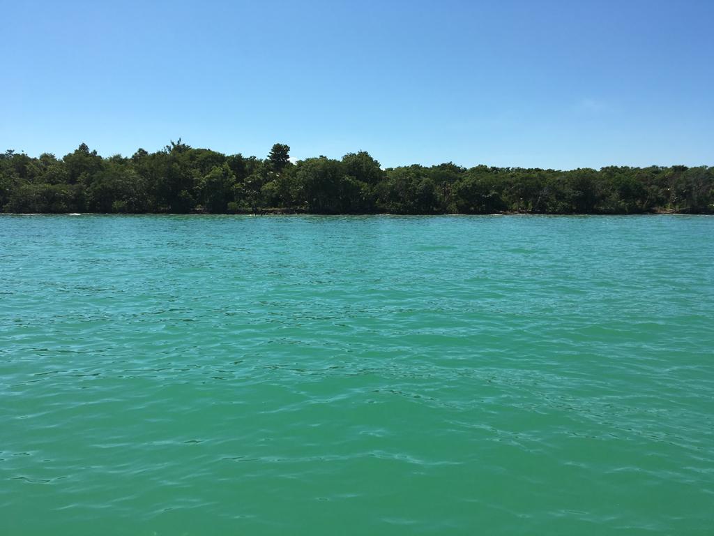 listing image with ID 60961