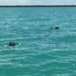 listing image thumbnail with ID 60962