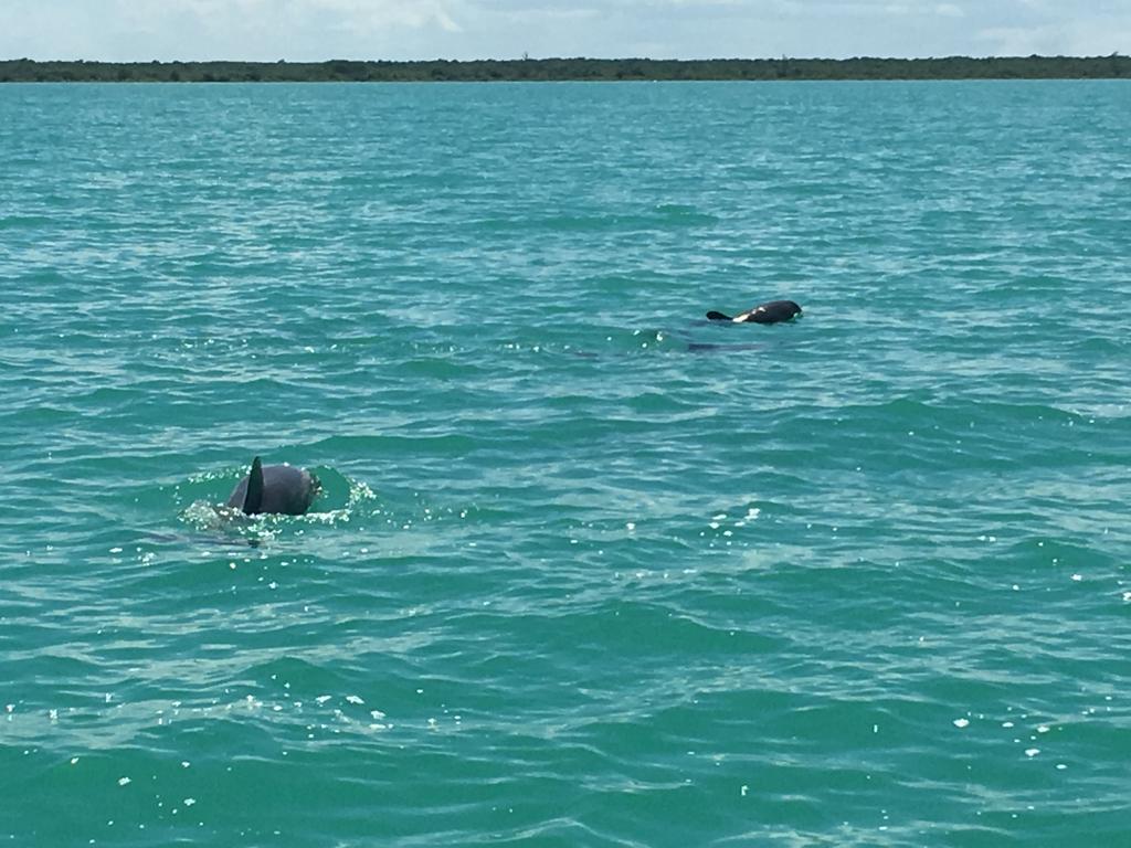 listing image with ID 60962