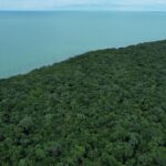 listing image thumbnail with ID 60956