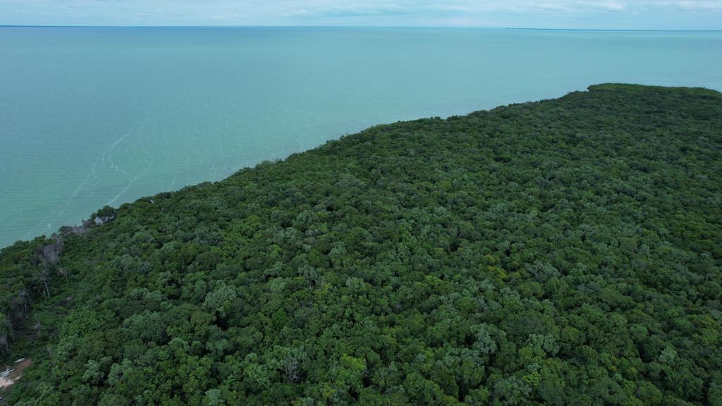 listing image with ID 60956