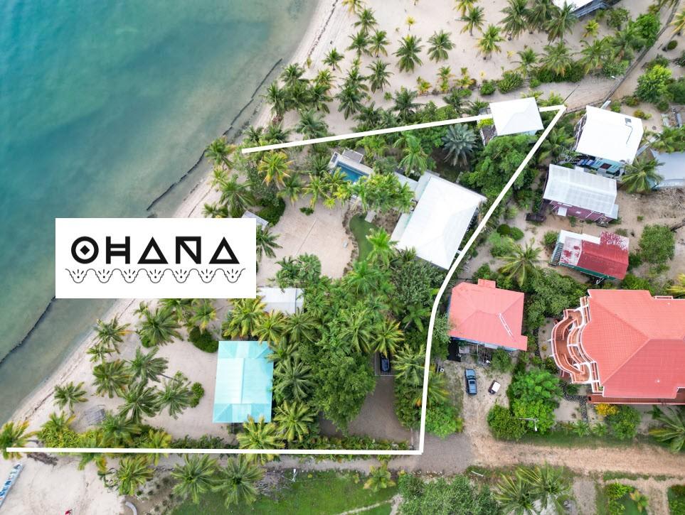 listing image with ID 61118