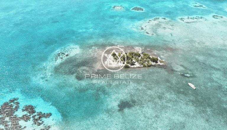 listing image with ID 60897