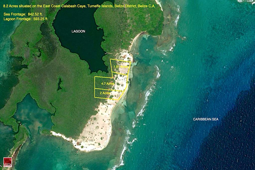 listing image with ID 60716