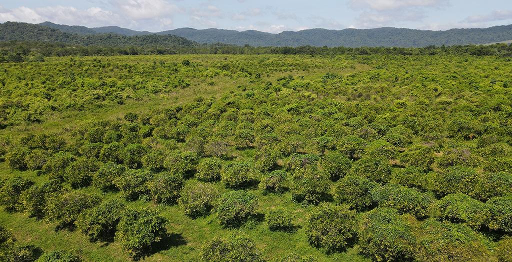 listing image with ID 60581