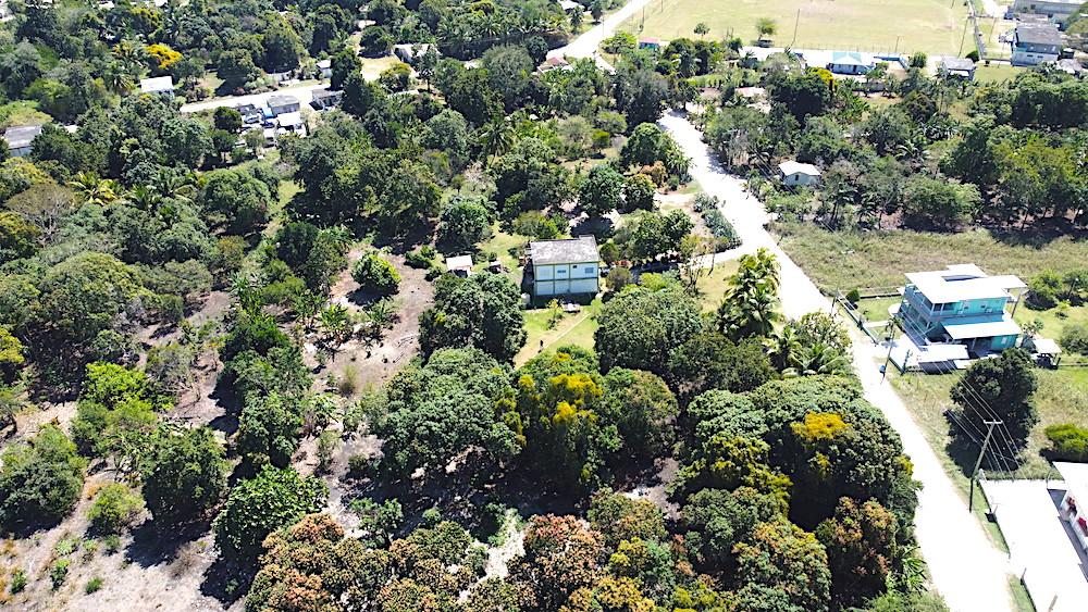 listing image with ID 61508