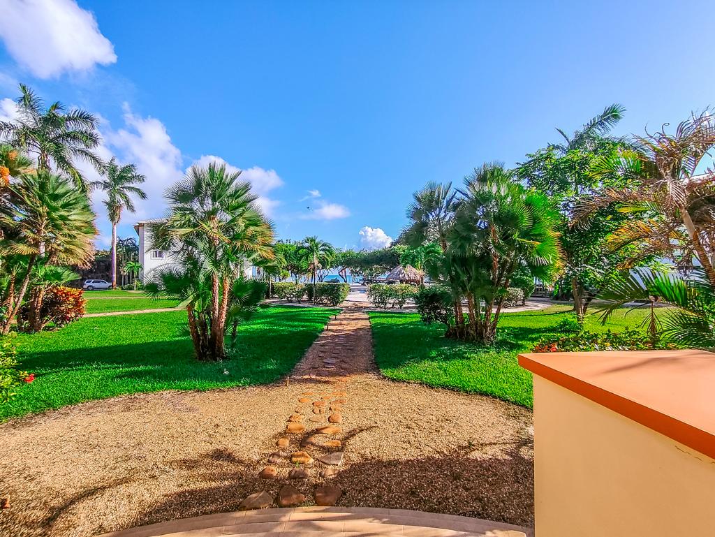 listing image with ID 62053