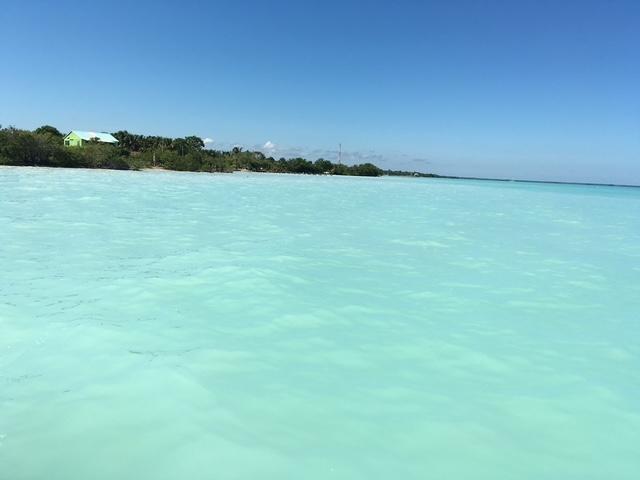 listing image with ID 60965