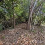 listing image thumbnail with ID 61789