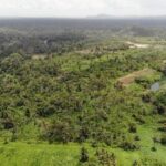 listing image thumbnail with ID 61716