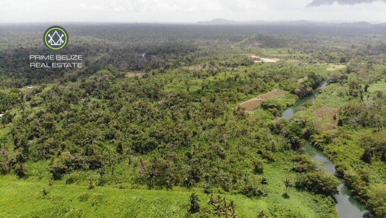 listing image with ID 61716