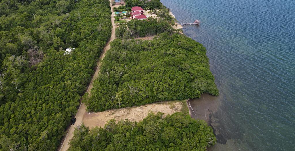 listing image with ID 60547