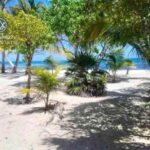 listing image thumbnail with ID 61875