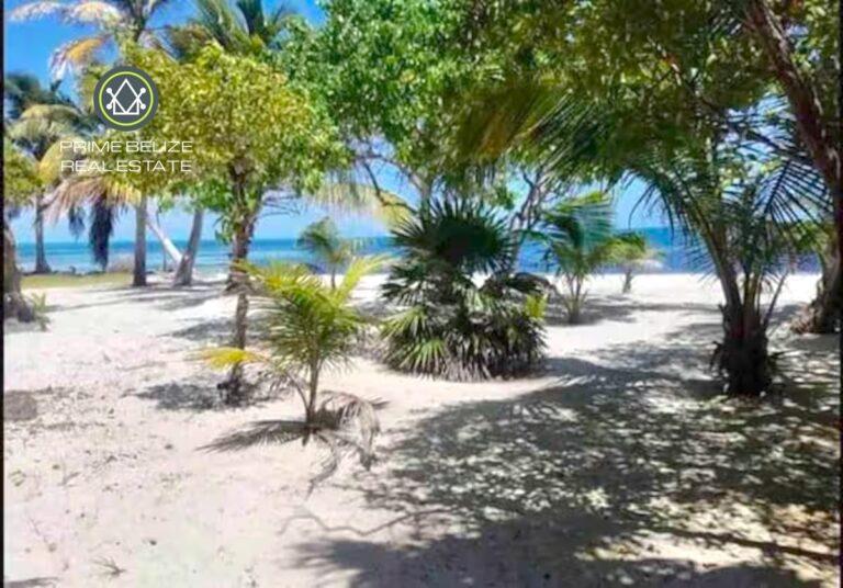 listing image with ID 61875