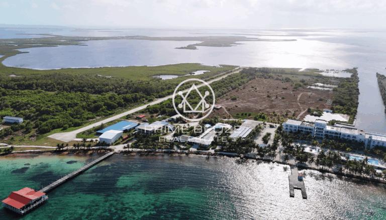 listing image with ID 60978