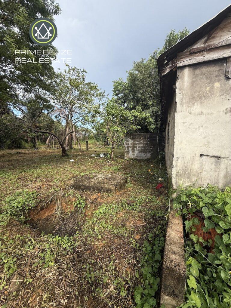 listing image with ID 61188