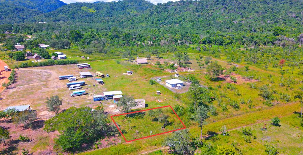 listing image with ID 62094