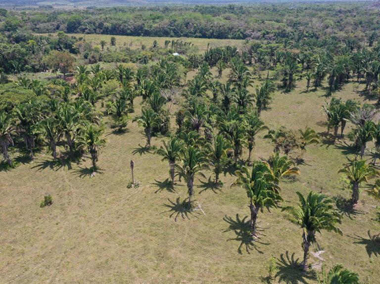 listing image with ID 60874