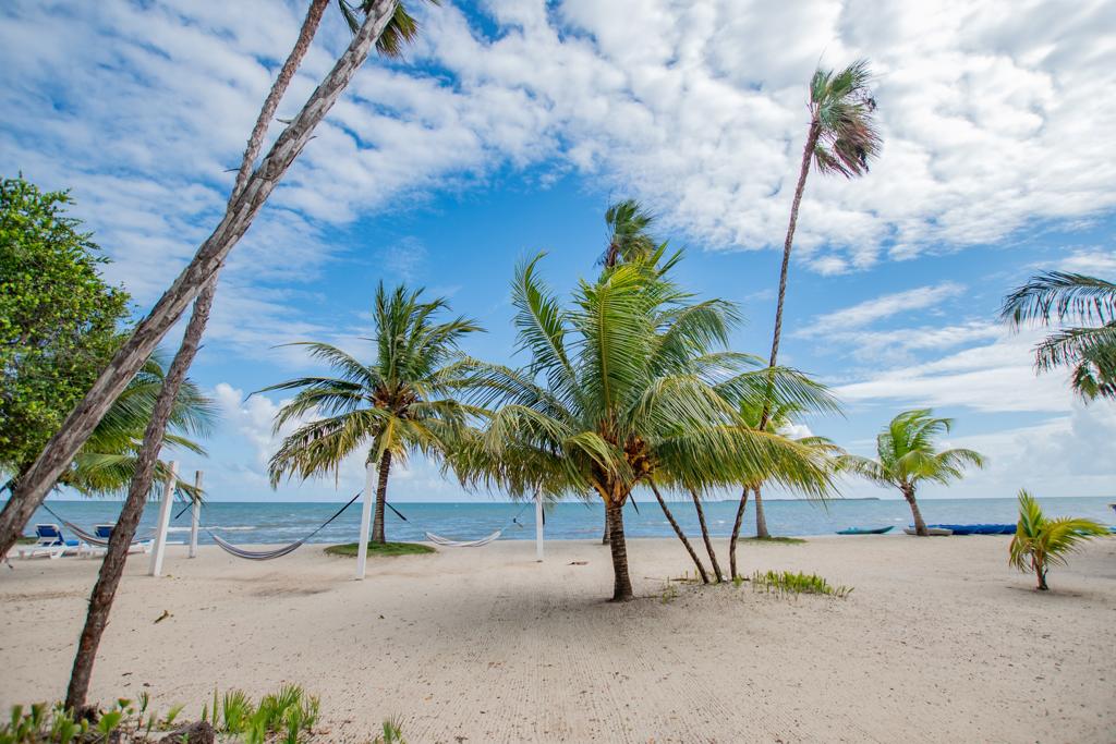 listing image with ID 61852