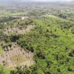 listing image thumbnail with ID 61713