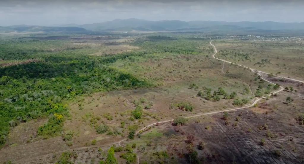 listing image with ID 60735