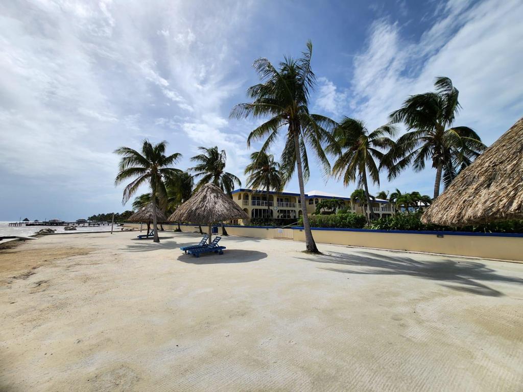 listing image with ID 61634