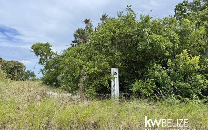 listing image with ID 60610