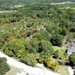 listing image thumbnail with ID 61528