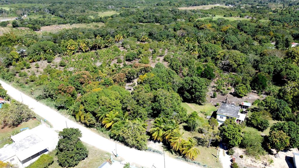 listing image with ID 61528