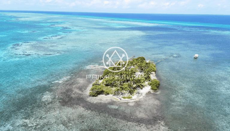 listing image with ID 60899