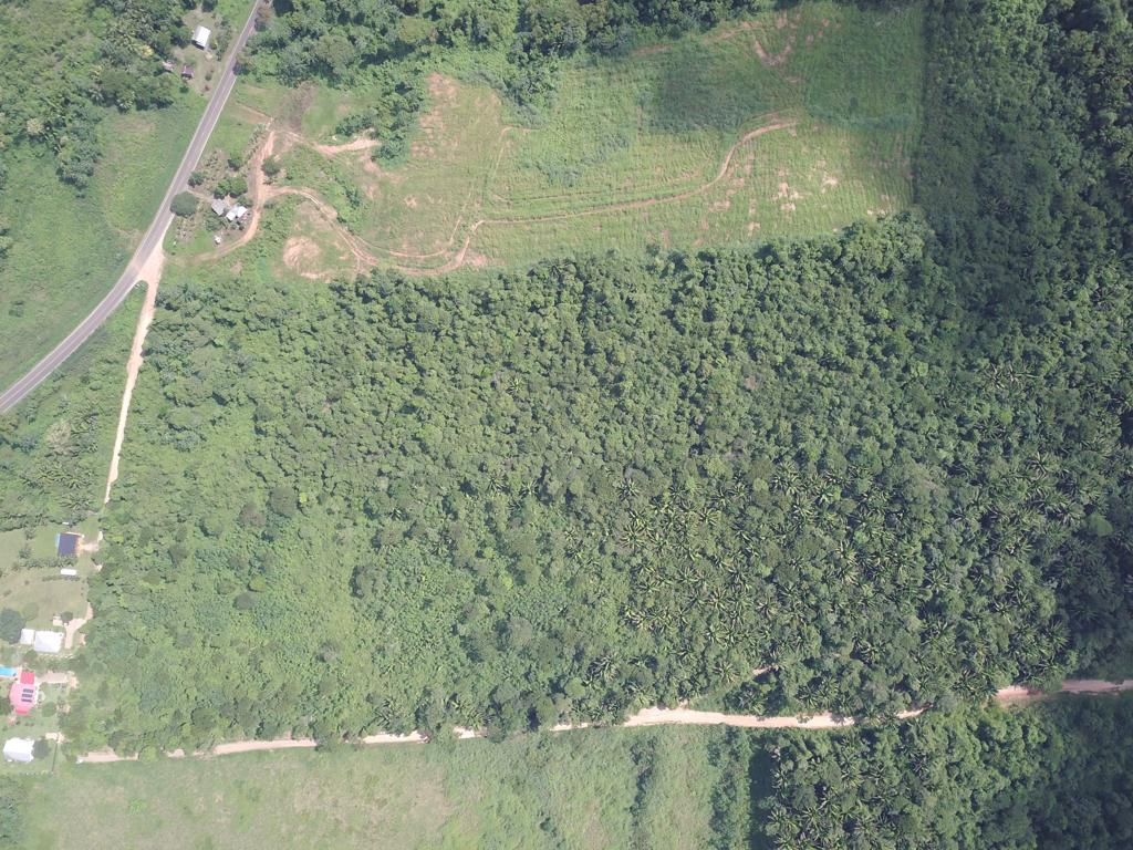 listing image with ID 60635