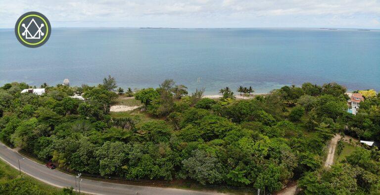 listing image with ID 61176