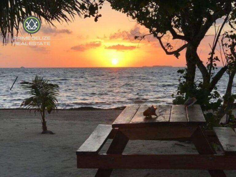 listing image with ID 61880