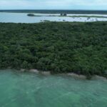 listing image thumbnail with ID 60955