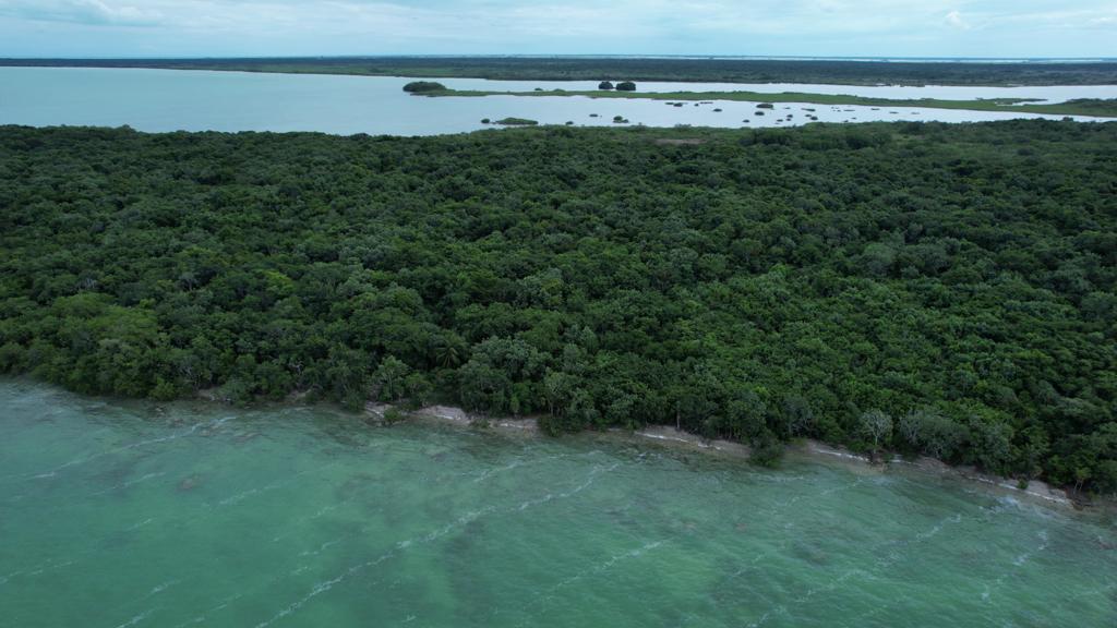 listing image with ID 60955