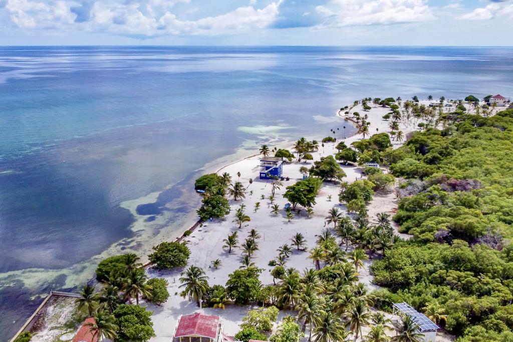 listing image with ID 60705