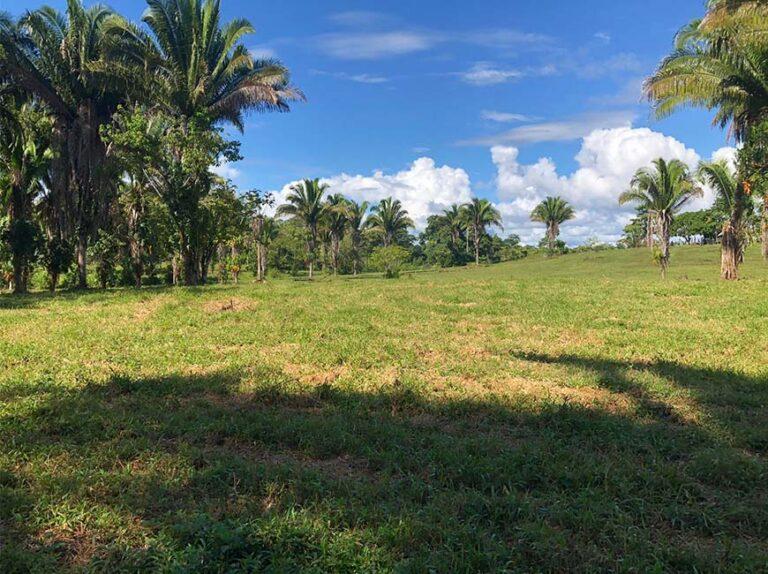 listing image with ID 60880