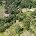 listing image thumbnail with ID 61890