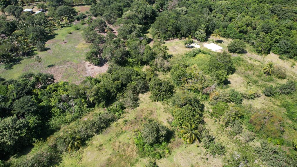 listing image with ID 61890