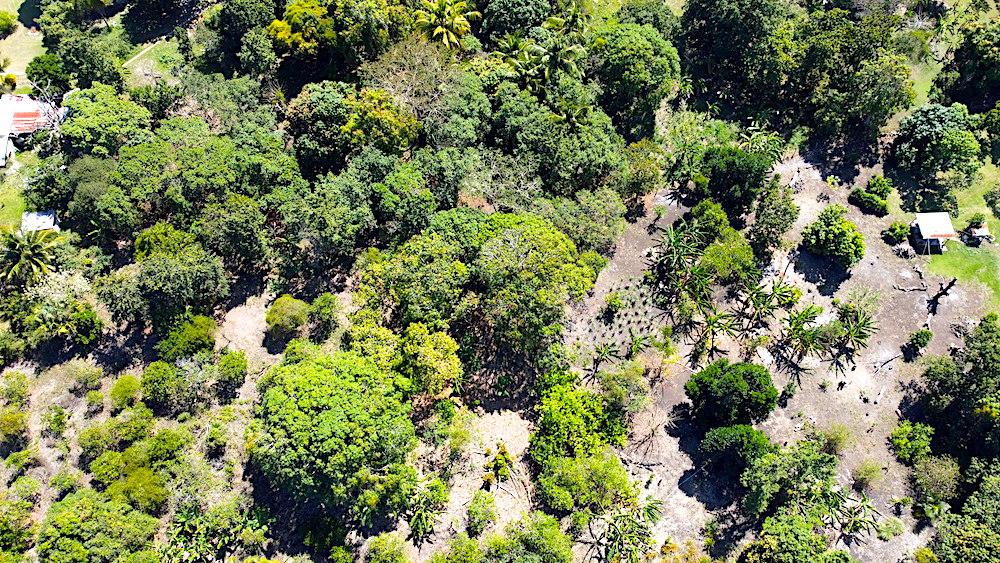 listing image with ID 61501