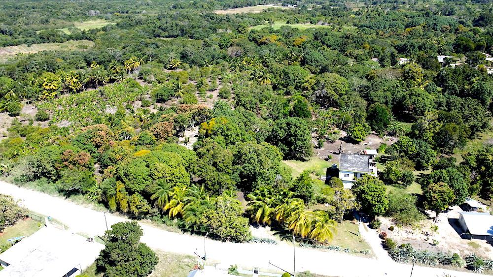 listing image with ID 61504