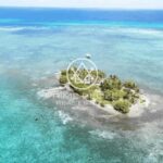 listing image thumbnail with ID 60901