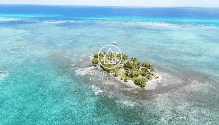 listing image with ID 60901