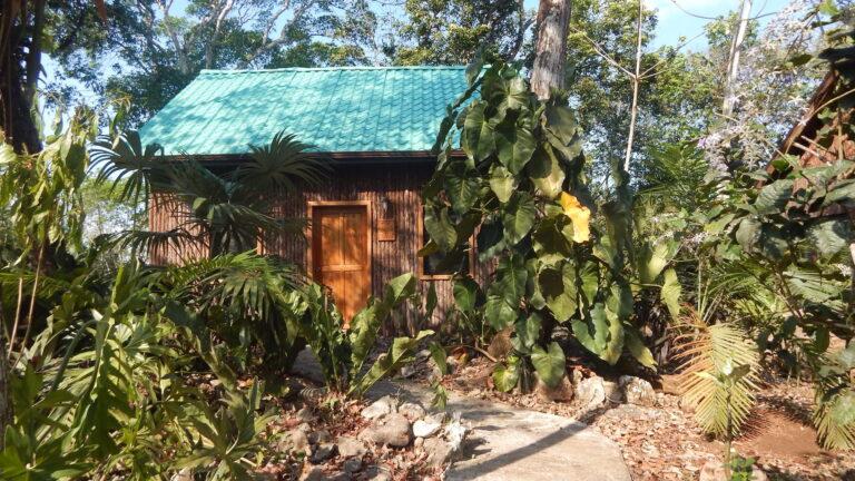 listing image with ID 61010