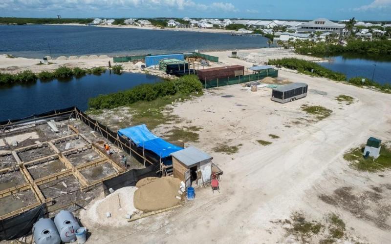 listing image with ID 60619