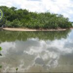 listing image thumbnail with ID 61251