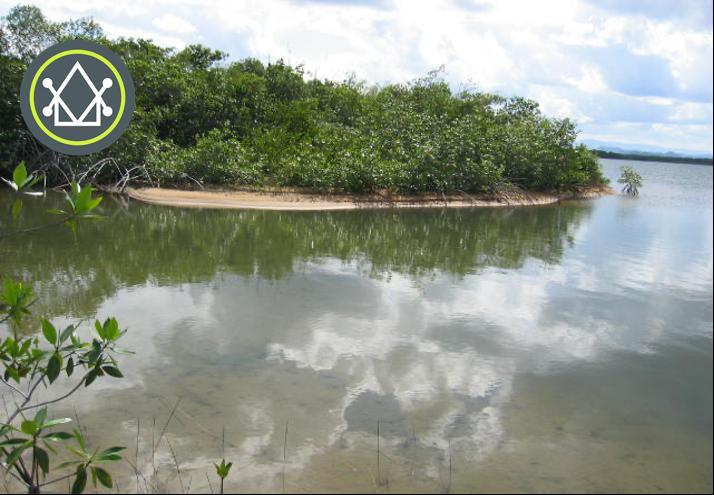 listing image with ID 61251